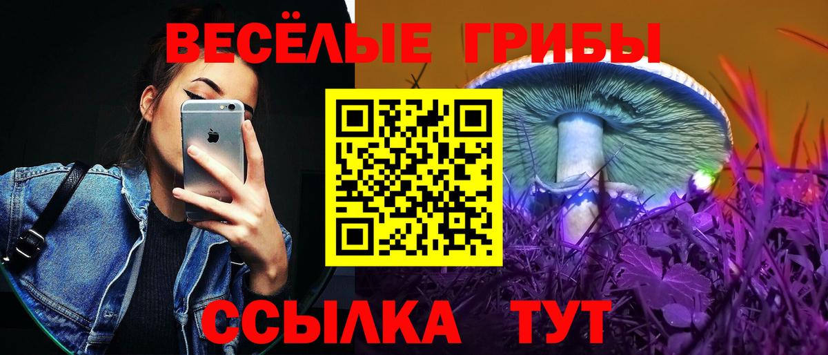 Галлюциногенные грибы мицелий Ревда