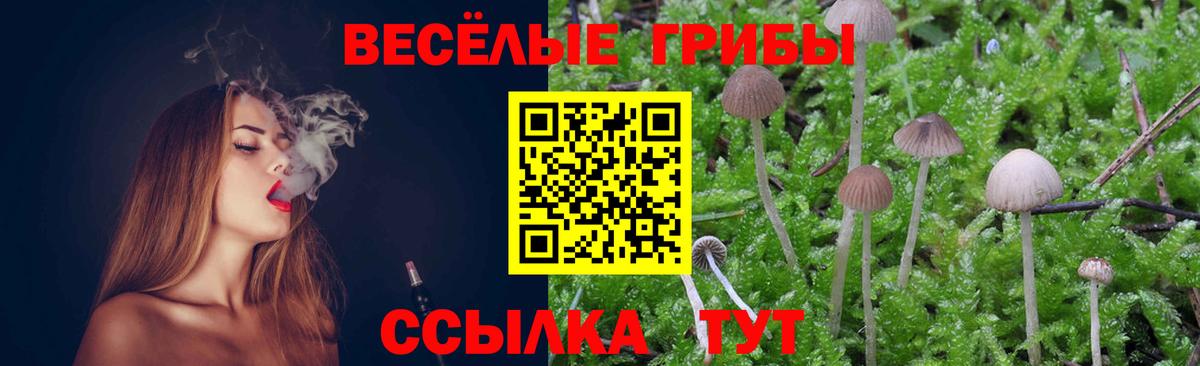 ГАШ  МАРИХУАНА  Ревда  LSD-25  Кодеин  COCAIN  Меф МЯУ МЯУ кристаллы  МДМА  Вход с VPN  Мефедрон  Магазин наркотиков  Амфетамин кристаллы  ГАШ 